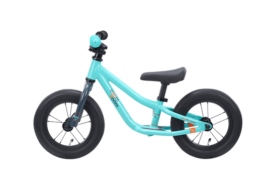 Push Bike #2 | VoomVoomBikes